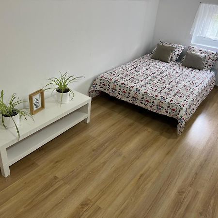 Green Apartment - Free Parking Katowice Bagian luar foto