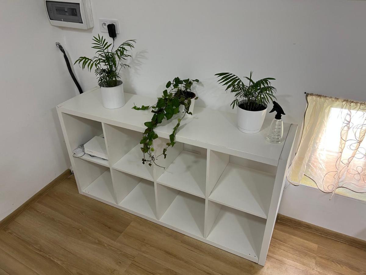 Green Apartment - Free Parking Katowice Bagian luar foto