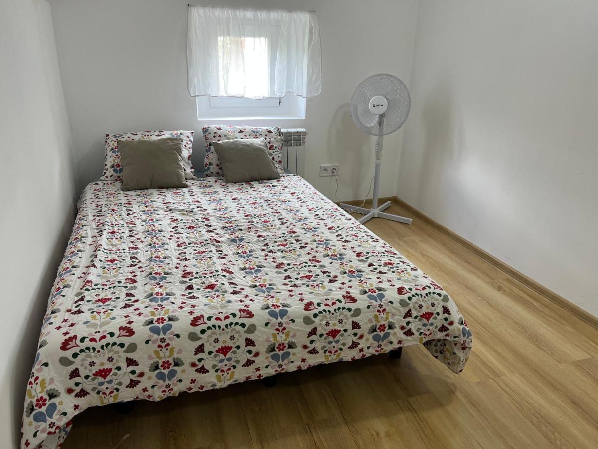 Green Apartment - Free Parking Katowice Bagian luar foto